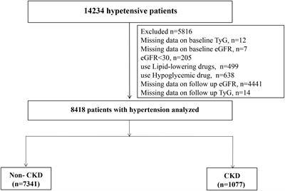 Triglyceride–glucose index change and chronic kidney disease progression in a Chinese hypertensive population